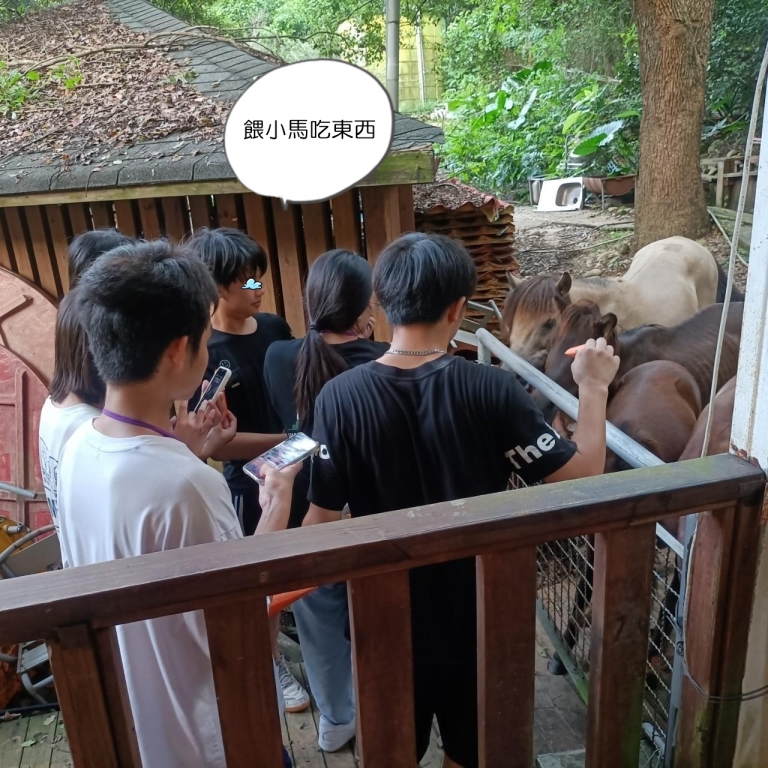 餵小馬